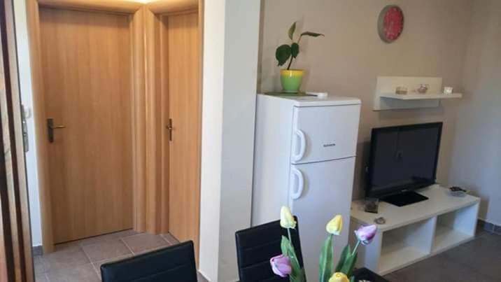 Apartment Dukic Sveti Filip i Jakov Esterno foto