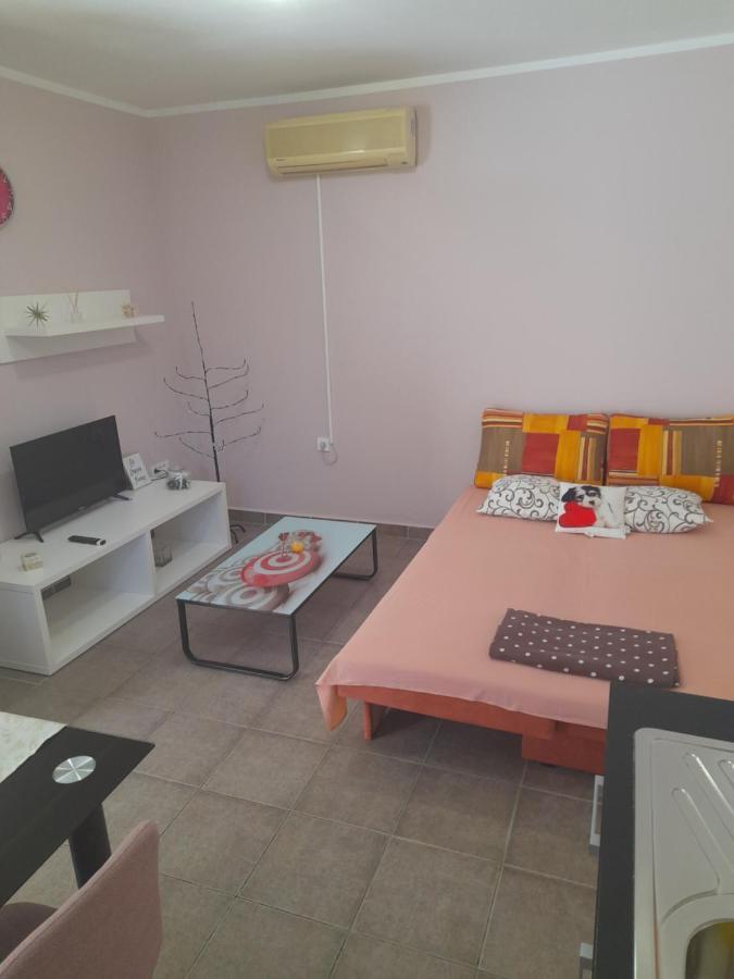 Apartment Dukic Sveti Filip i Jakov Esterno foto