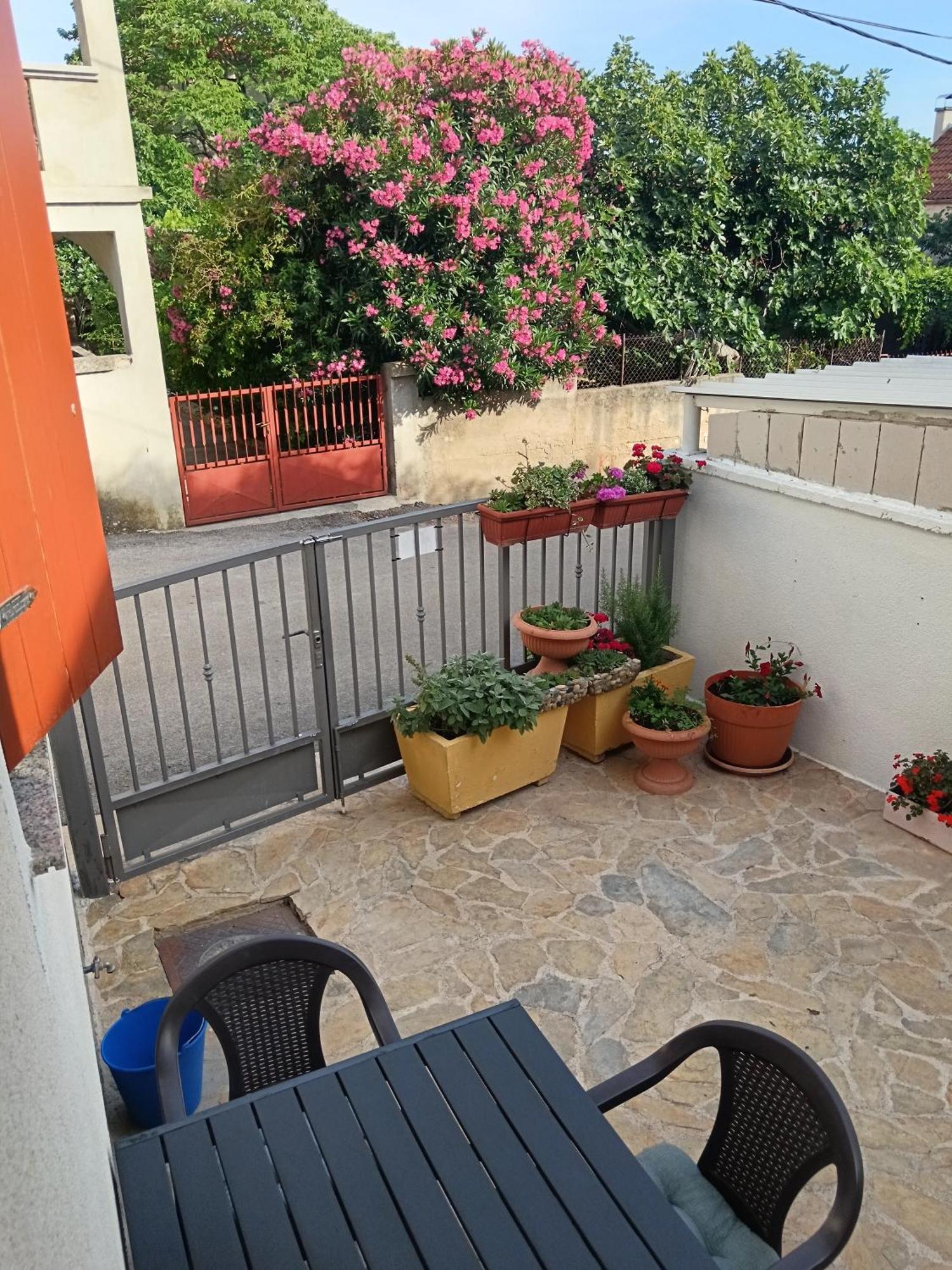 Apartment Dukic Sveti Filip i Jakov Esterno foto