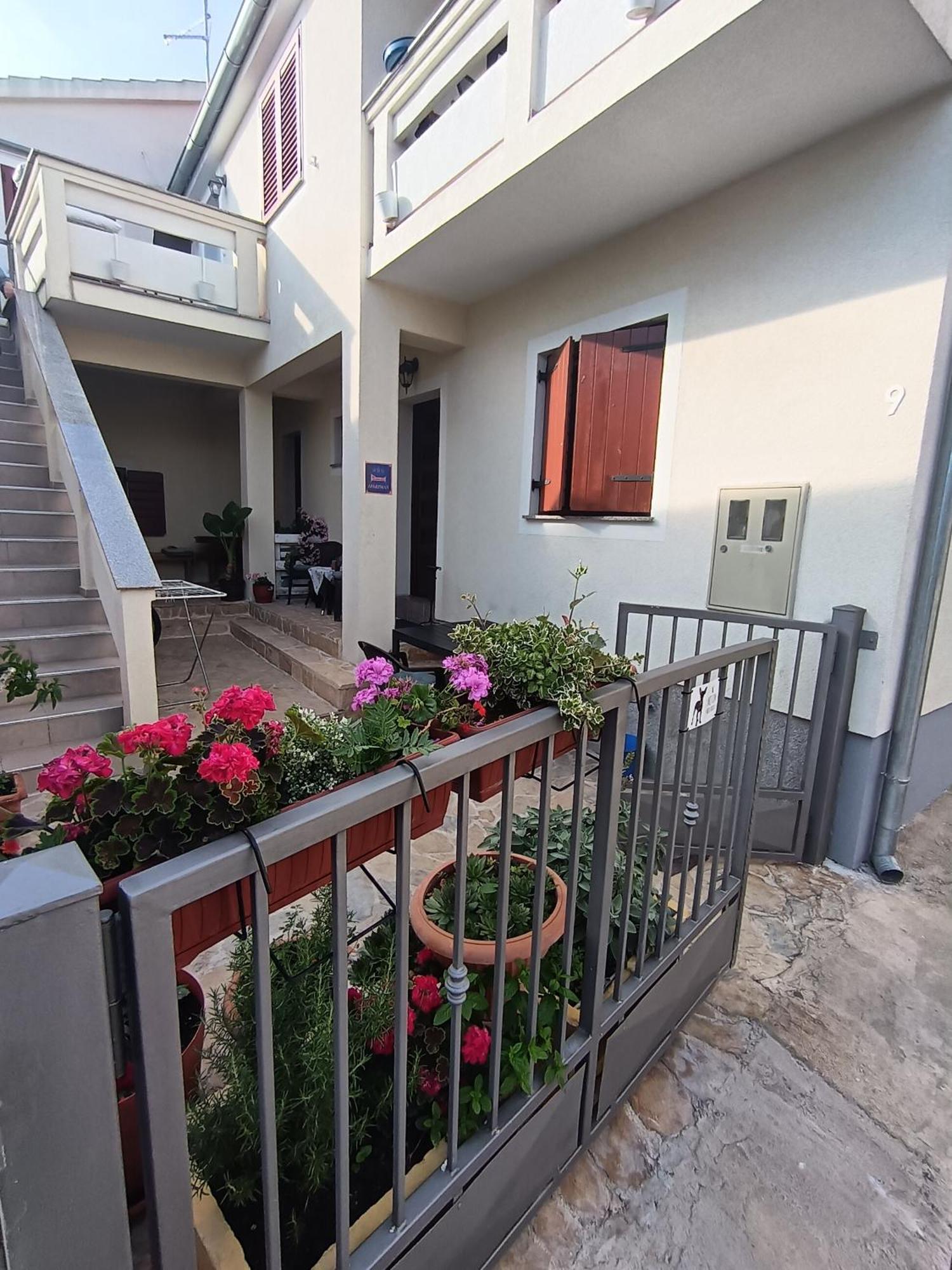 Apartment Dukic Sveti Filip i Jakov Esterno foto